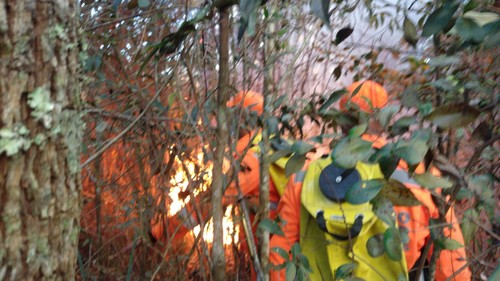 Incêndios provocam danos ao meio ambiente