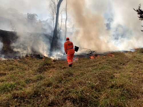 Queimadas deram muio trabalho aos bombeiros