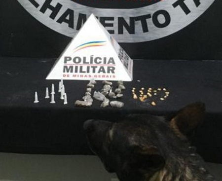 Cão farejador atuou na busca