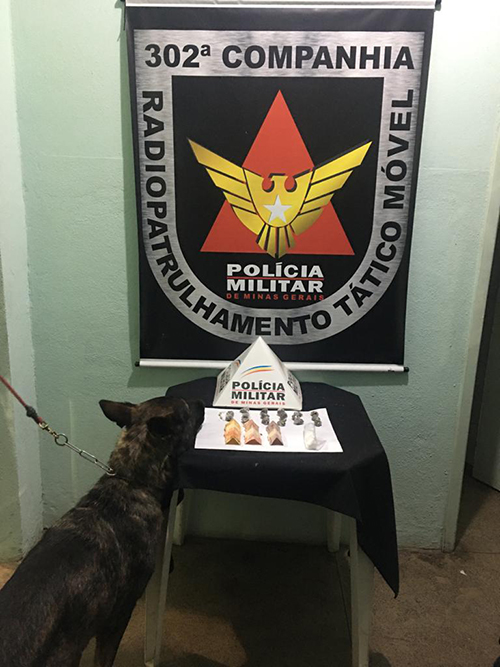 Cão farejador foi utilizado na busca pelos materiais