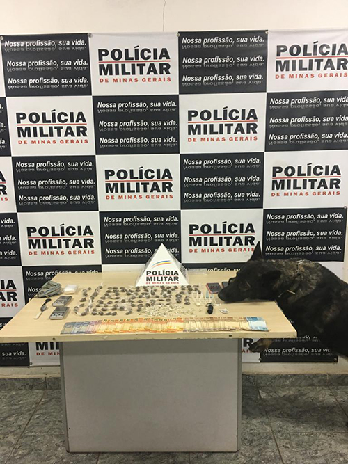 Apreensão realizada no local