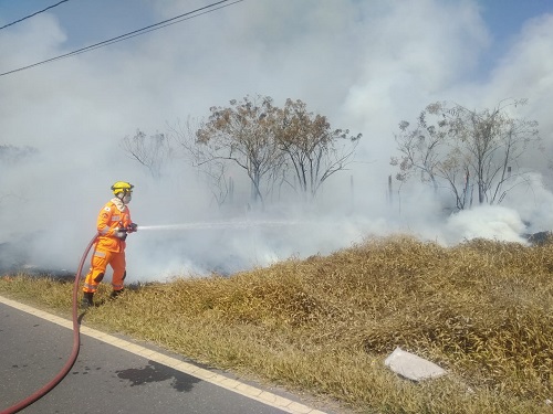 Bombeiros combateram as chamas