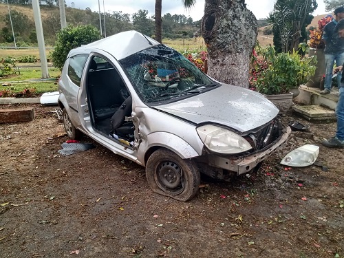 Carro bateu em árvore