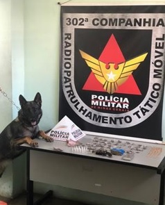 Cão farejador ajudou nas buscas