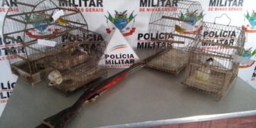 Operação policial resgata aves com maus tratos e aplica multa de mais de 600 mil reais