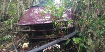 Carro roubado é encontrado desmanchado no meio de matagal