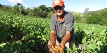 Tratores viabilizados por Glaycon Franco beneficiam pequenos produtores rurais