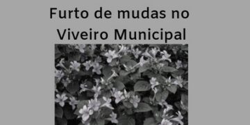 Mudas são roubadas em viveiro de Ouro Branco