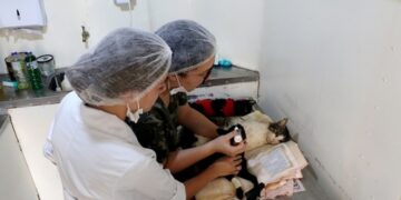 Castramóvel regional já está em atividade em Lafaiete e região