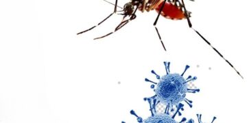 O melhor é não sair, mesmo que alguém te COVID-19 vezes