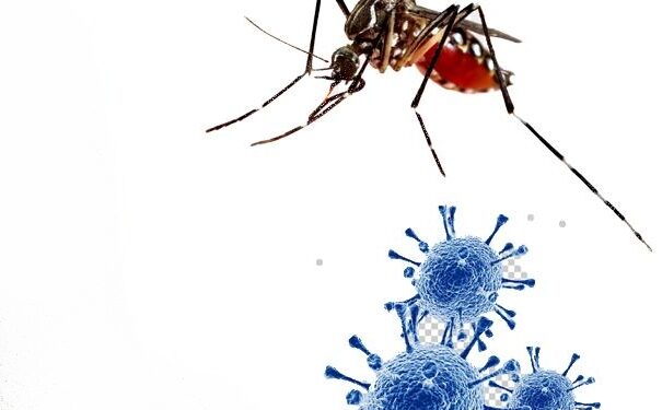 O melhor é não sair, mesmo que alguém te COVID-19 vezes