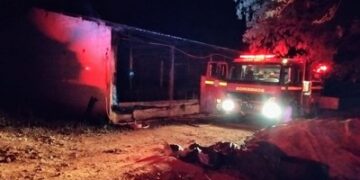 Incêndio em granja causa morte de 400 animais