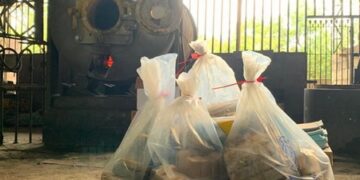 Polícia incinera mais de 100 kg de drogas apreendidas