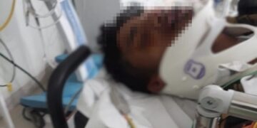 Irresponsabilidade de criadores de gado colocam vidas em risco na estrada de Santana dos Montes
