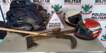 Homens são presos por desmatamento e cortes de Candeia