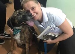 Centro de Castração Animal é inaugurado em Lafaiete