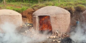 Incêndio atinge carvoaria, plantação de eucalipto e área de pastagem