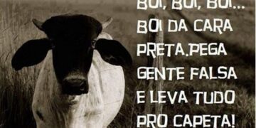 Se o boi for pro parque, a vaca vai pro brejo