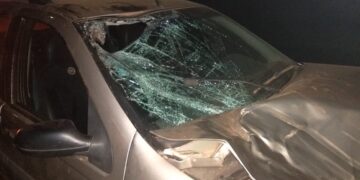 Mais um acidente entre carro e animal: Motorista ficou ferido e a vaca morreu
