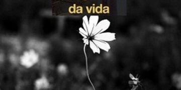 A fragilidade da vida!