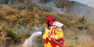 Bombeiros combatem mais de 30 focos de incêndios na região