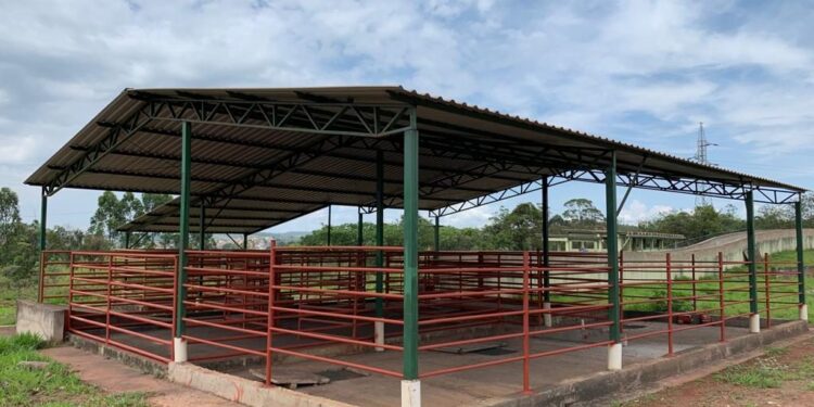 Avançam as obras do matadouro municipal de Congonhas