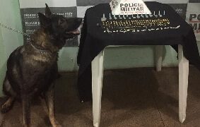Operação da PM encontra droga até em cemitério, no meio do mato e vaso sanitário