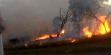 Homem coloca fogo em mato e é preso