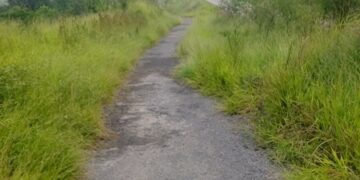 Pista de caminhada cheia de mato