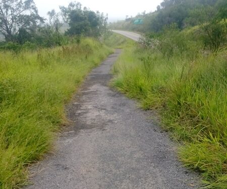 Pista de caminhada cheia de mato