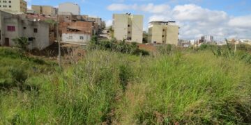 Prefeitura vai fiscalizar e autuar proprietários de lotes irregulares