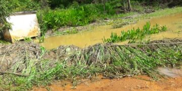 Prefeitura decreta Estado de Emergência