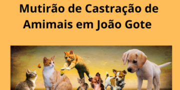 Mutirão de castração animal em Ouro Branco