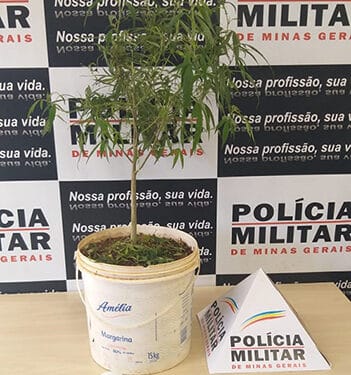 Menor é apreendido suspeito de receptação de veículo roubado, consumo e cultivo de drogas