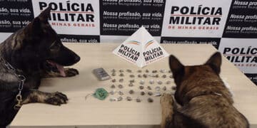 Homem é preso com 55 buchas de substância análoga à maconha