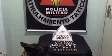 Adolescente de 14 anos é conduzido por porte ilegal de arma