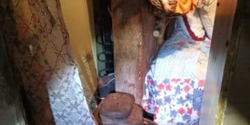Parede de casa desaba e mulher fica presa nos escombros