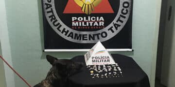 Denúncia anônima leva à apreensão de drogas