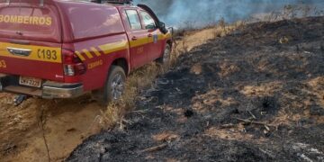 Bombeiros combatem incêndios em vegetação