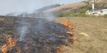 Bombeiros combatem incêndio em vegetação próximo à BR-265