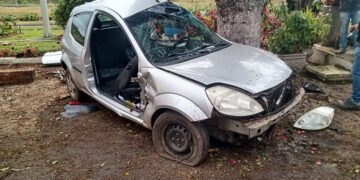 Homem fica ferido após carro bater em árvore
