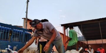 Prefeito de Itaverava ajuda em distribuição de batatas para a população