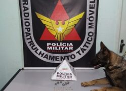 Adolescentes são apreendidos suspeitos de tráfico e tentativa de homicídio