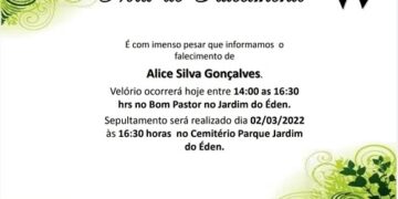 Alice Silva Gonçalves