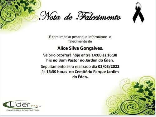 Alice Silva Gonçalves