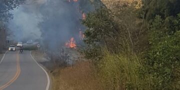 Bombeiros combatem incêndio em bambuzal na MG 482