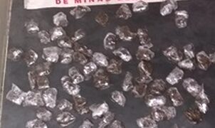 Cadela farejadora da PM localiza droga no bairro Real de Queluz