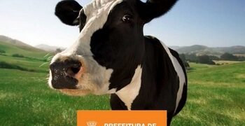 Prefeitura endurece lei sobre animais nas ruas e disponibiliza disque-denúncia