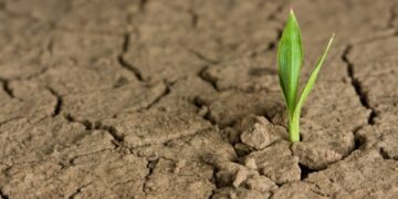 Uma palavra de esperança!