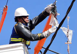 Pipas prejudicaram mais de 500 mil clientes da Cemig em 2019